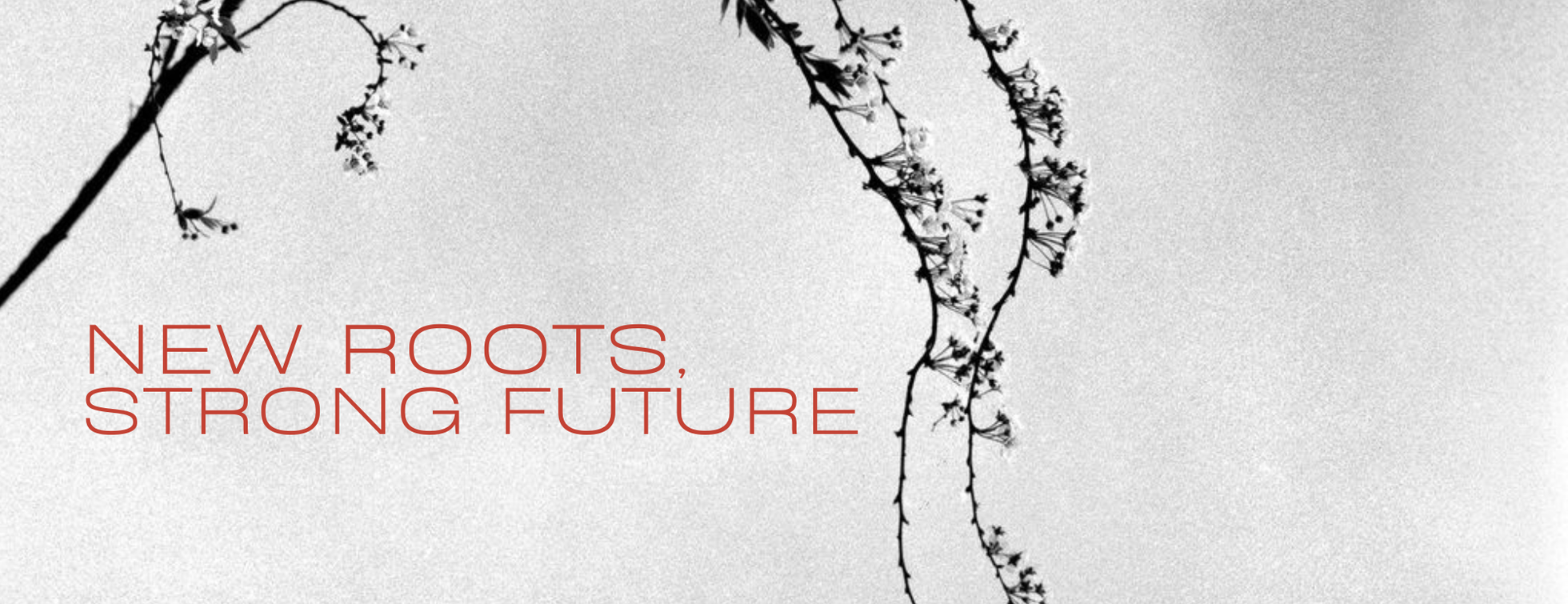ANA's 23rd Annual Gala: New Roots, Strong Future